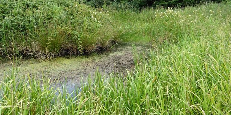 Oversigtskort storkeprojekt Broderup og Jejsing